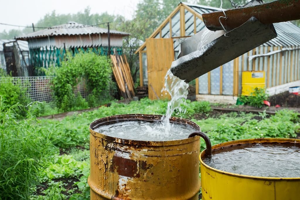 Фото: haultail.com/wp-content/uploads/2019/07/Haultail-diy-rain-barrel-rainwater-haultail-1024x683-1.jpg