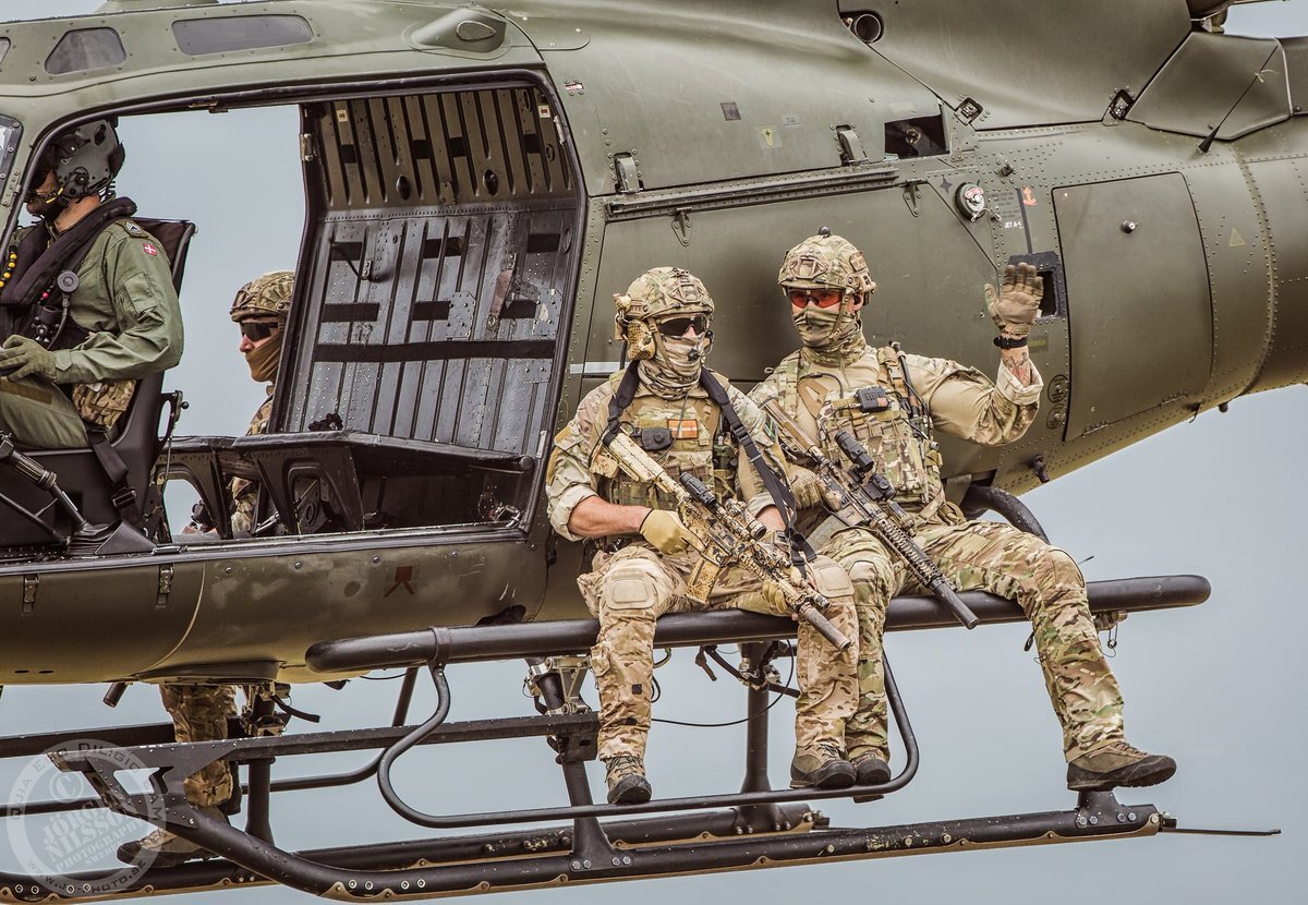 Армия Дании. Специальные силы