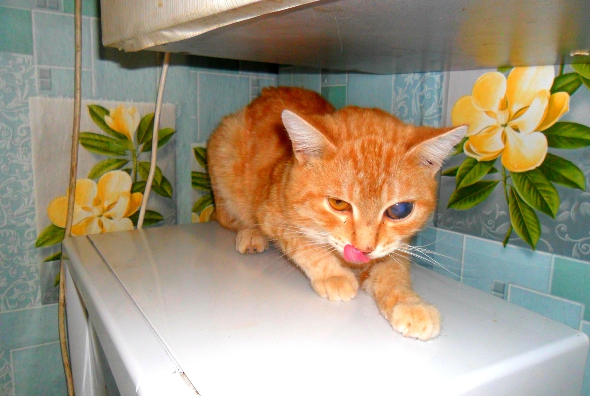 Фото автора.