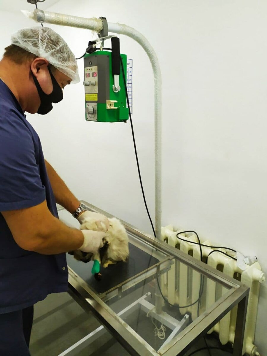 Одно из вчерашних фото