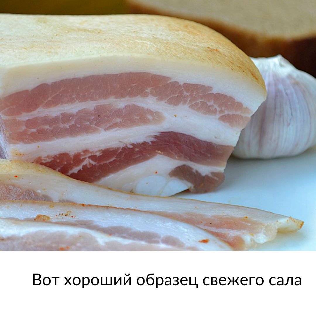 Какое сало мягче