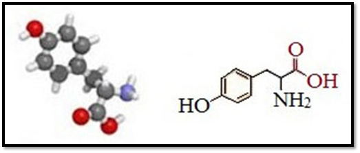 2 Амино 3 4 гидроксифенил пропановая кислота. 3 2 Гидроксифенил пропановая кислота. 2-Амино-3-(4-гидроксифенил)пропановая кислота (тирозин). Тирозин молекула. Пэт с тирозином