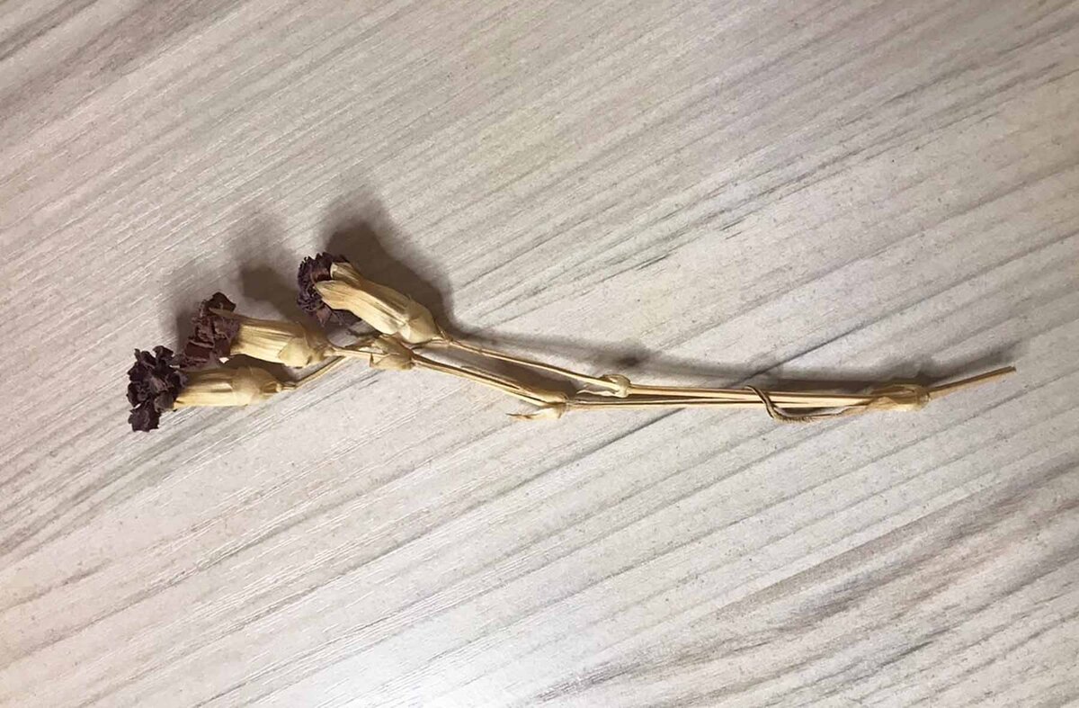 Те самые гвоздички, храню их 10 лет