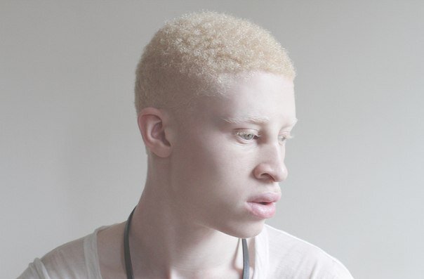 Фото Яндекс Картинки