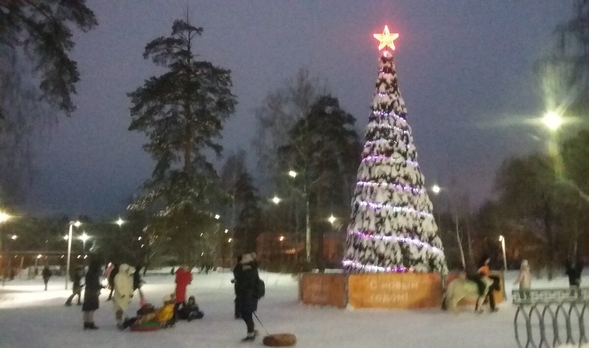 Елка сквер энтузиастов. Сквер энтузиаст москва. Елка сквер энтузиастов. Новогодняя елка красноярск. Елки на горке.