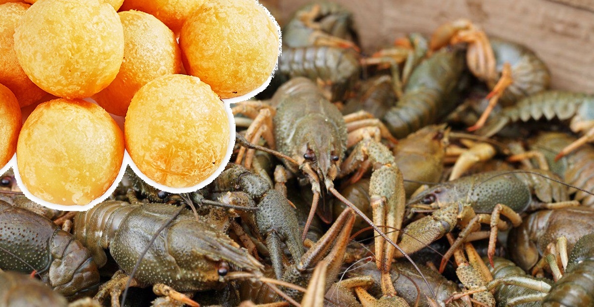 в общей сложности поймал я не много,штук 25. НО. и стояли они всего 4 часа