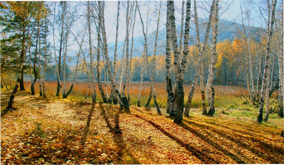 Фотография, стихотворение Василия Глуцкого