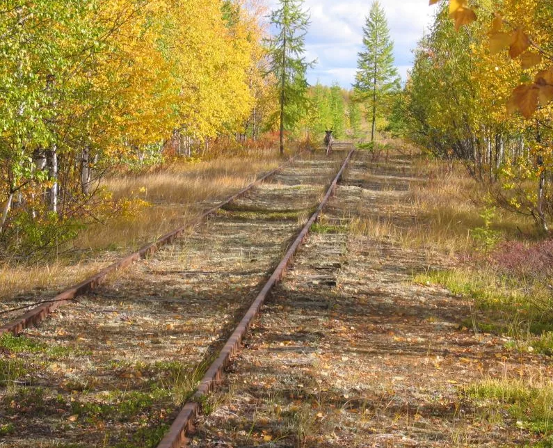Кое-где дорога все же неплохо сохранилась