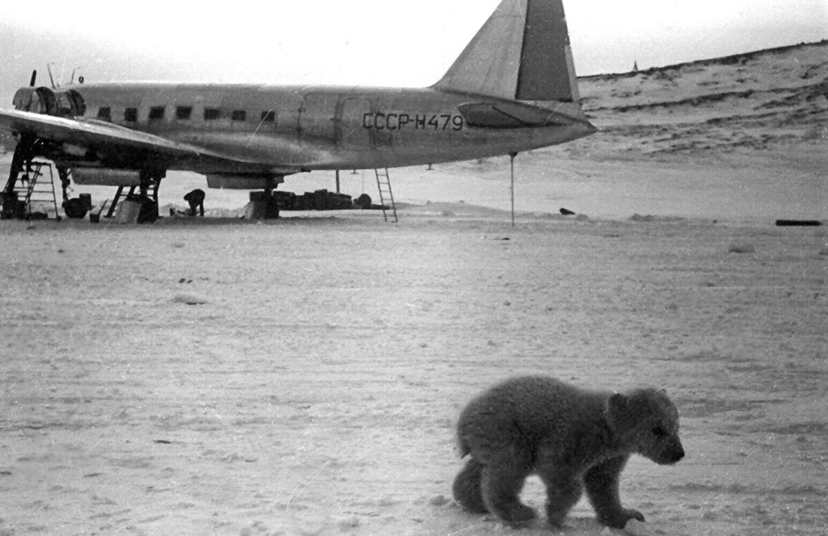 Сегодня Полярной авиации России исполняется 90 лет!
1 марта 1931 г.