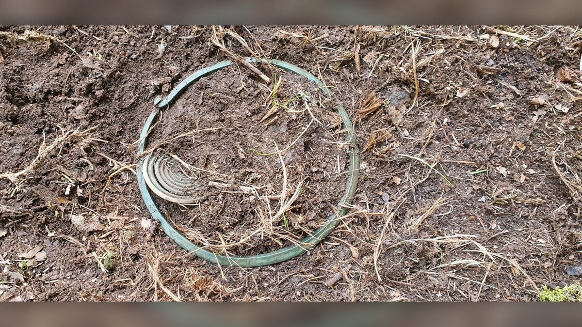 Шейное кольцо эпохи бронзы. Источник фото: сайт https://www.livescience.com/bronze-age-hoard-sweden.html