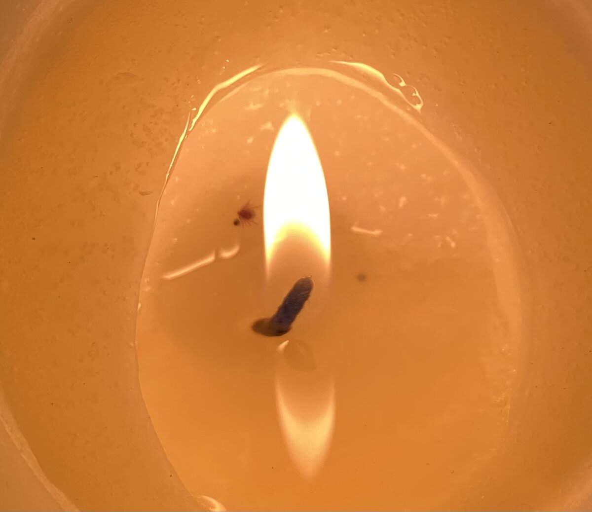 -1-2