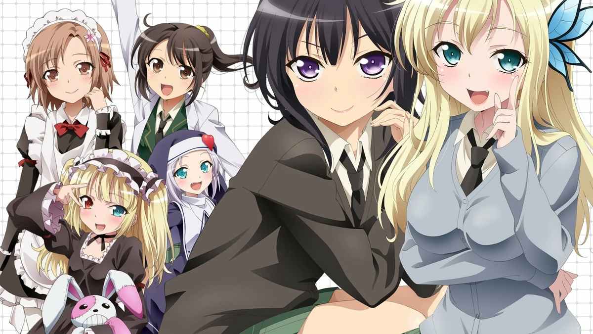 1 то другая. У меня мало друзей / Haganai (2011.