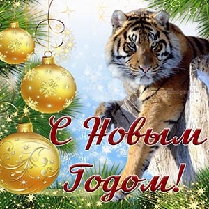 С наступившим новым 2022 годом. Пусть он станет новым витком чего-то невероятного, фантастического и поможет вам осознать, что жизнь одна и прожить ее нужно так как Вы считаете нужным!