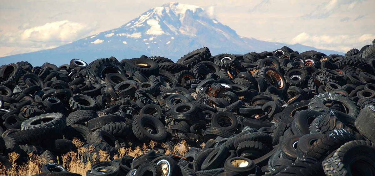 Фото взято с iphones