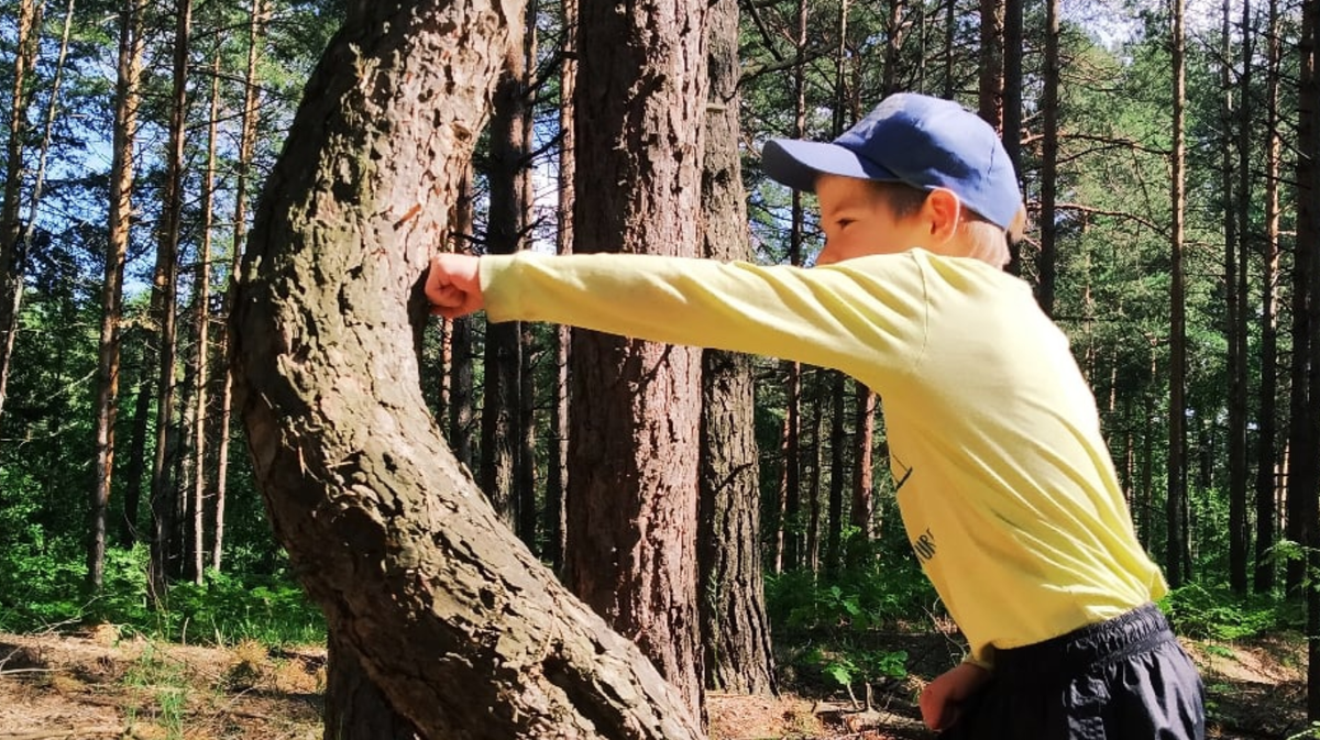 Это я с сыном пошел за грибами после 10 часов утра. Он грибы не нашел. Психанул и дерево помял.