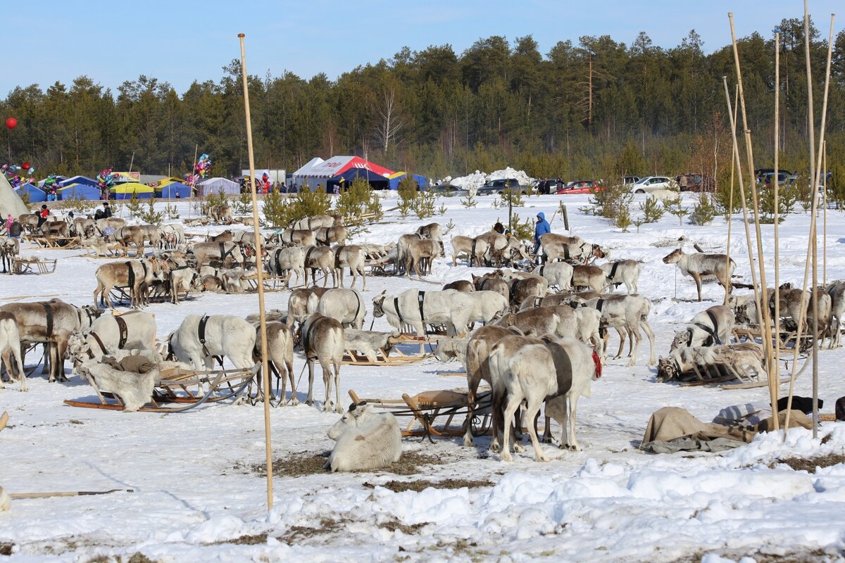 Фото: регнум 