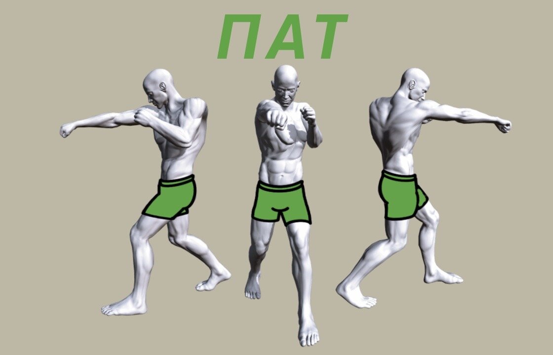 Прямой удар правой рукой по туловищу (ПАТ) с места 