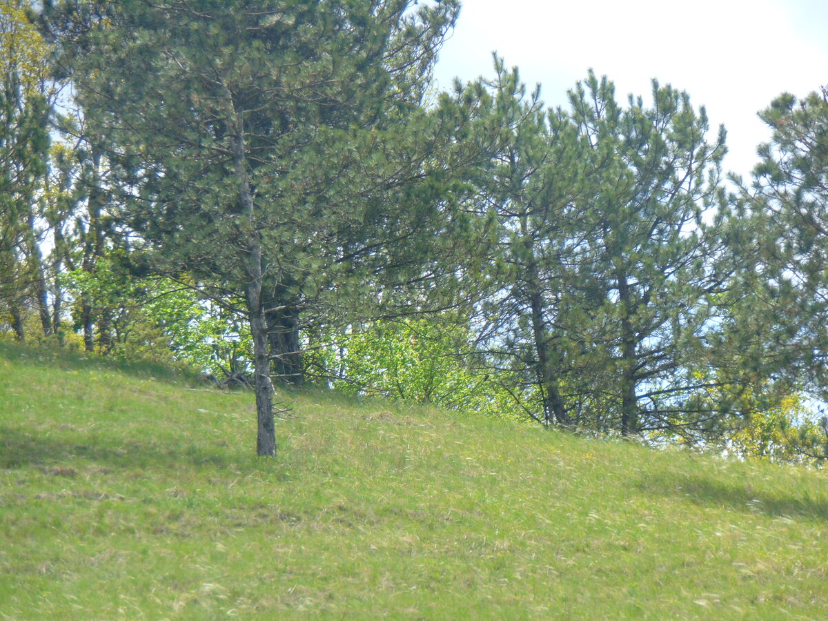 Фото автора канала