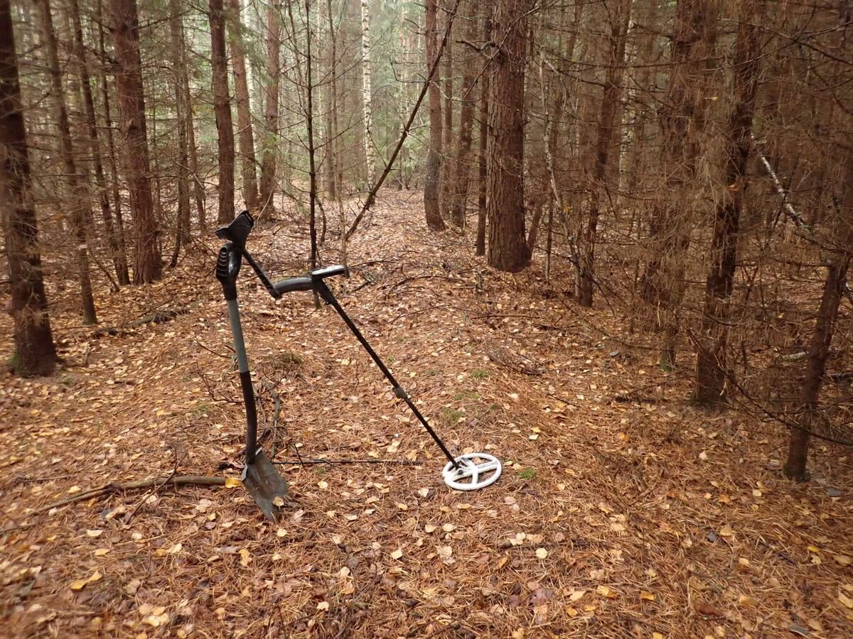 Приборный поиск. Девушки кладоискатели. Любители приборного поиска. Приборный поиск. Пермские копари.