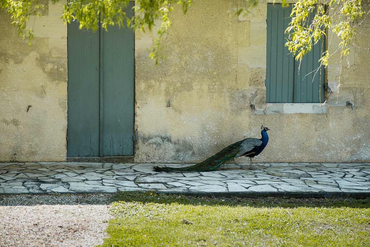Фото: © Андрей Ковалев