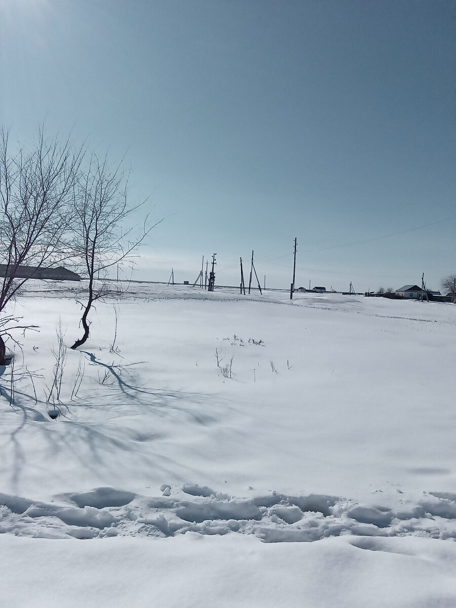 Только вчера практически все чернело, а на проталинках прорывалась зелёная травка. А сегодня опять белым бело. 