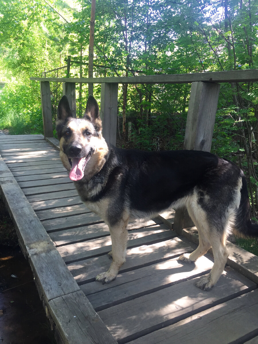 За мной человеки, добро пожаловать в мой мир)