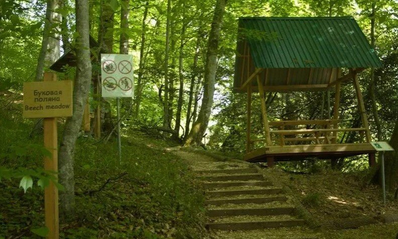 Буковая Поляна. Ангарский перевал. Алушта. Крым. Россия