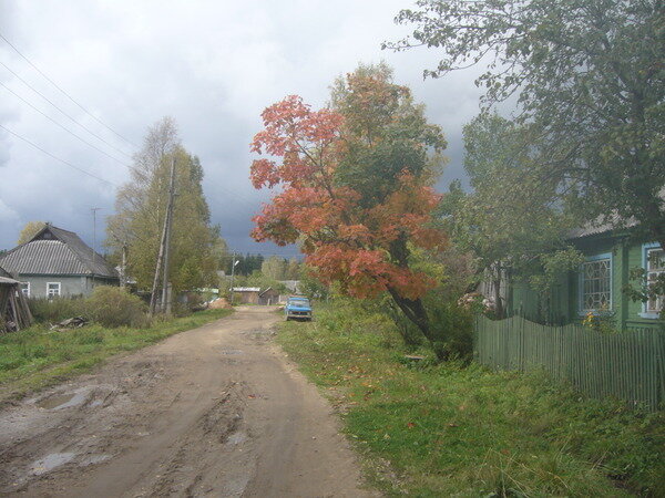 Осень. Андреапольский район. Из свободных источников.