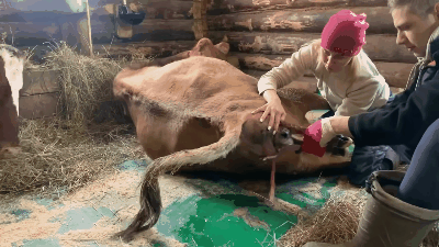 Нажмите на гифку, чтобы её посмотреть 