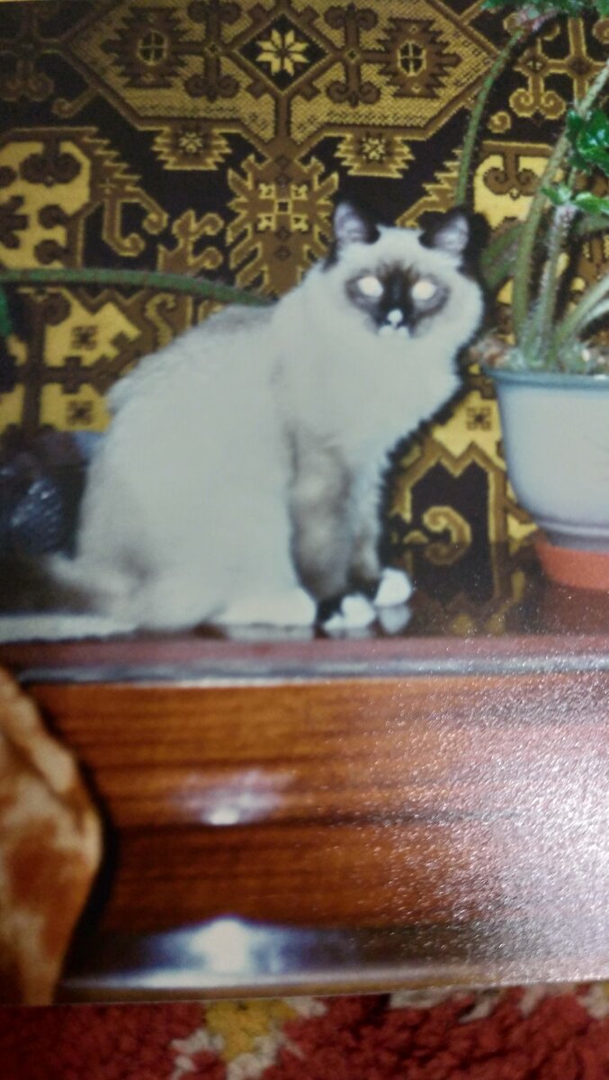 Было ещё мнение назвать Мицубиси. Прямо фирменный знак.