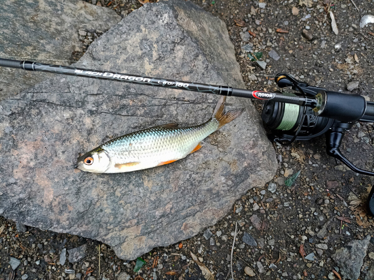 Мормоснасть в действии!!!