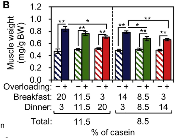  
Мышечная масса у мышей из разных групп после недельного эксперимента.
Aoyama et al / Cell Repots, 2021
