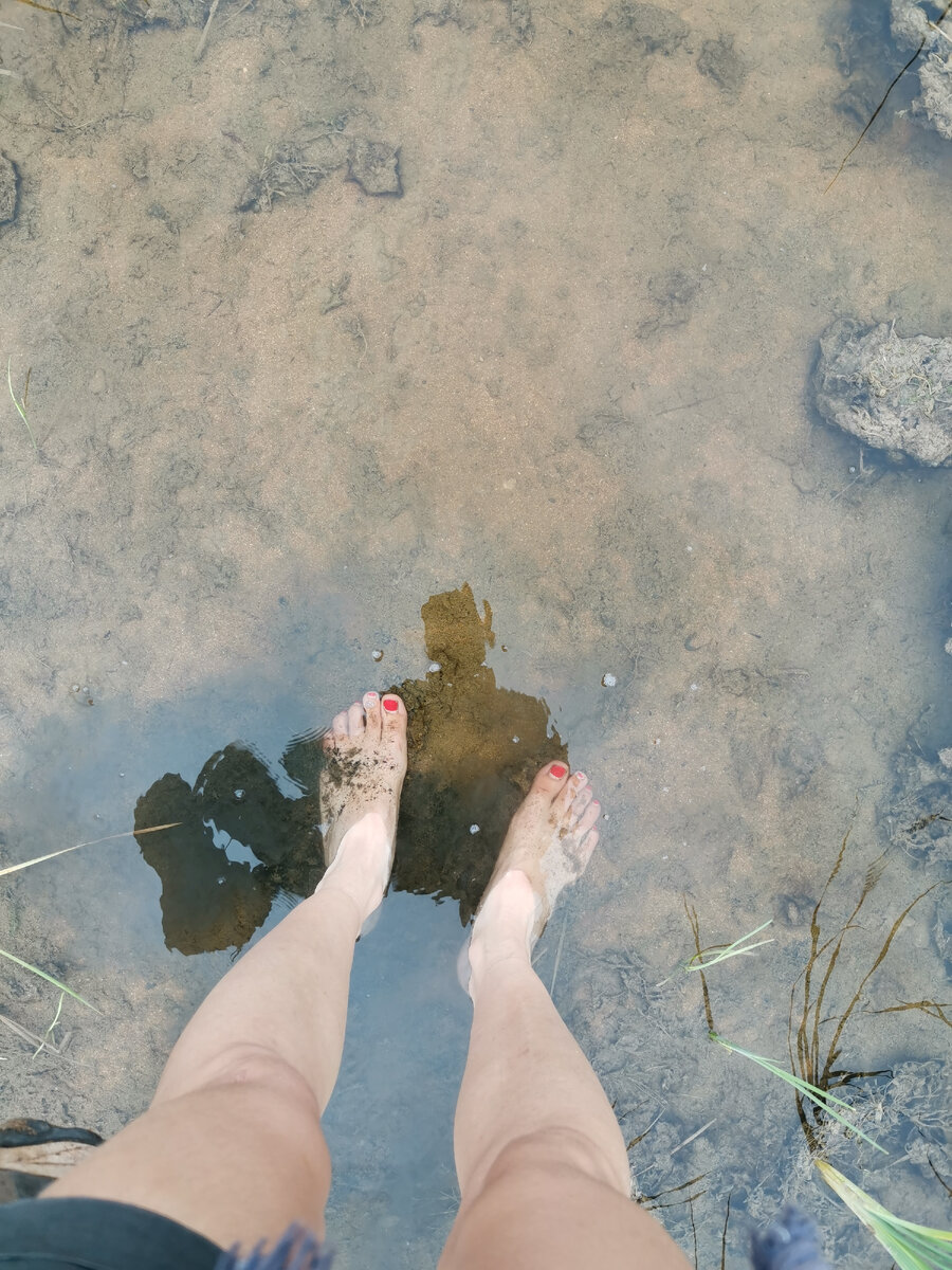 Затопленная тропа по дороге к Самурскому лесу