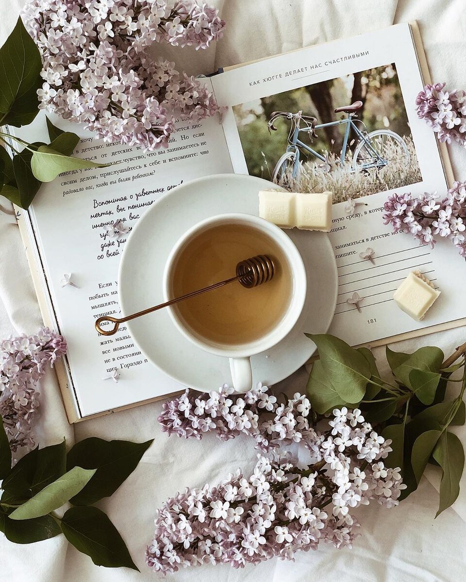 Фото: Яндекс. Картинки