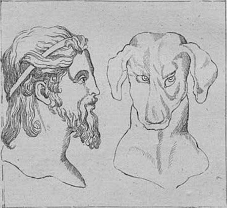 Голова греческого мудреца Платона и гончей собаки.