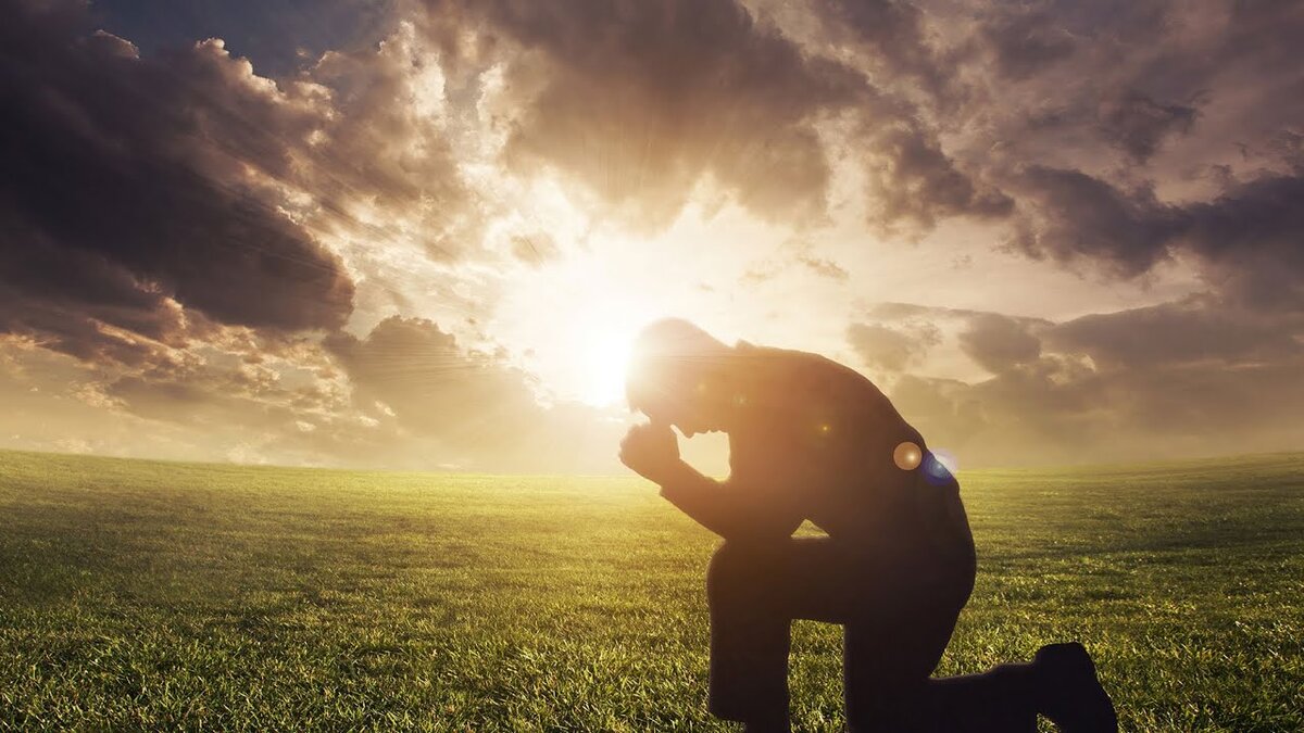 фото взято из интернет