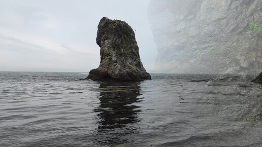 Прогулка по мысу Птичий Охотское море остров Сахалин