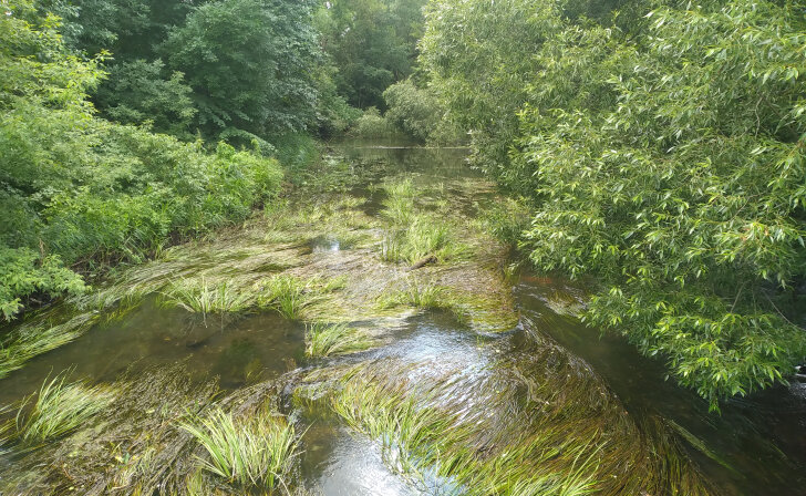    В Курской области на реке Воробжа нашли нелегальную свалку