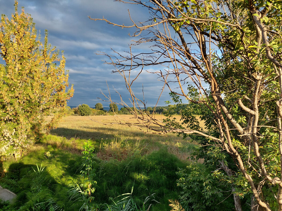 Осень пришла точно по расписанию 