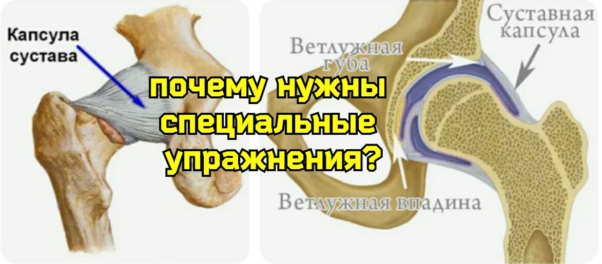 Как оживить измученные капсулы тазобедренных суставов? | Причины ...