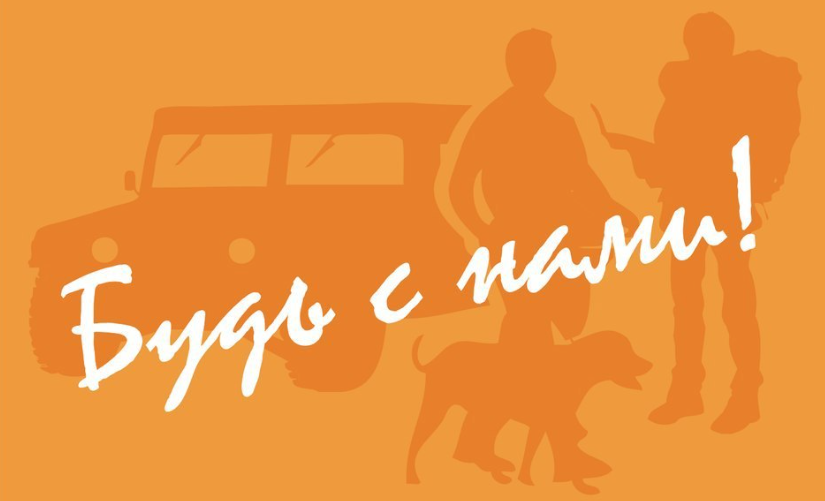 Lizaalert. Лиза Алерт будь с нами. Lizaalert логотип. Лиза Арлет. Лиза Алерт рисунки