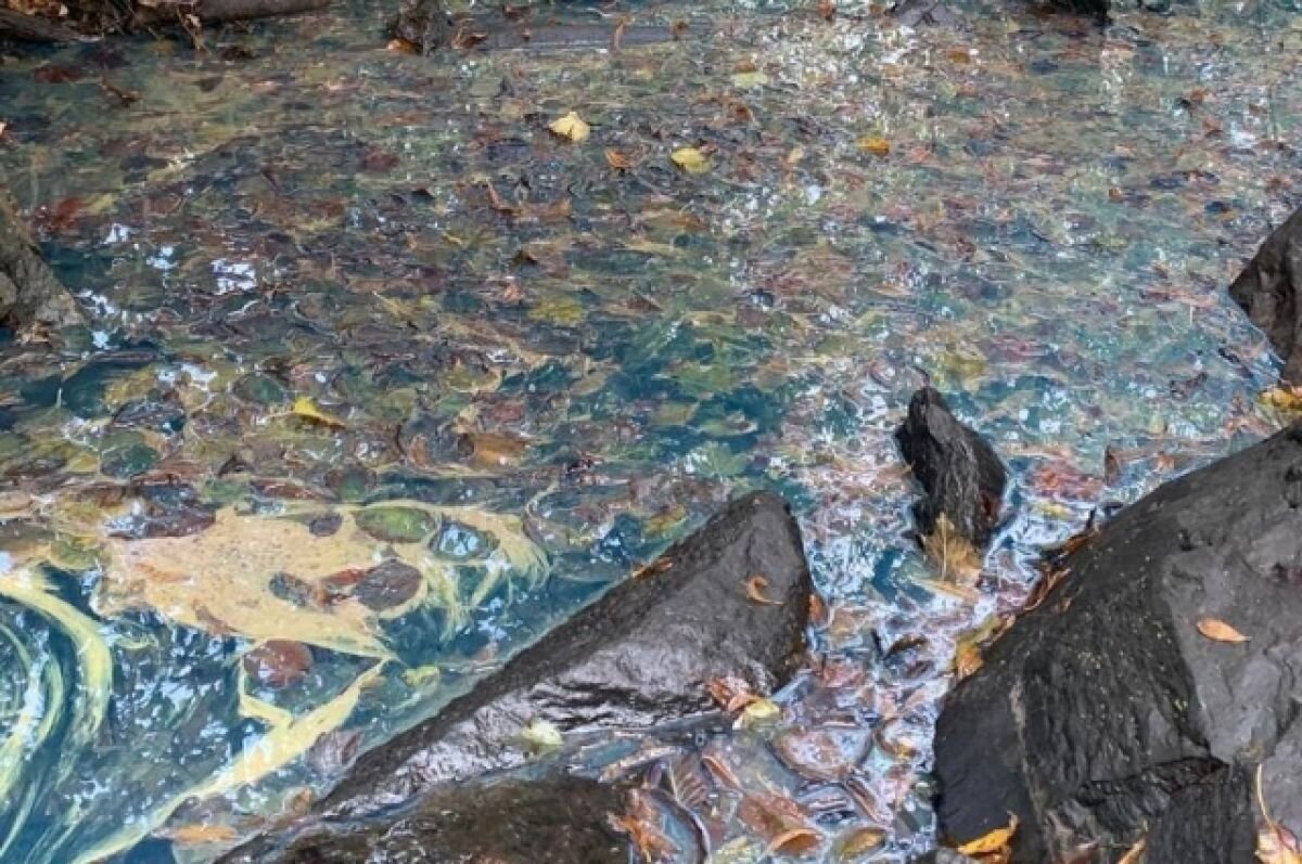    Утечка дизельного топлива произошла в свердловском поселке