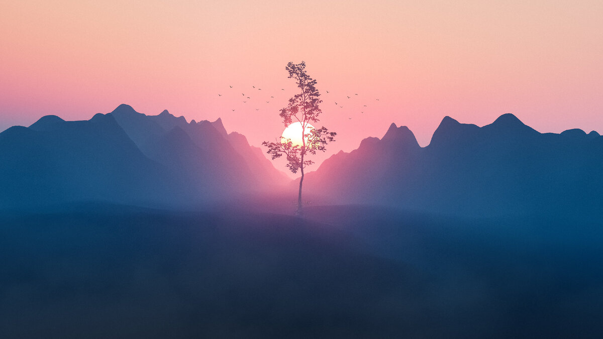 фото с сайта https://unsplash.com/