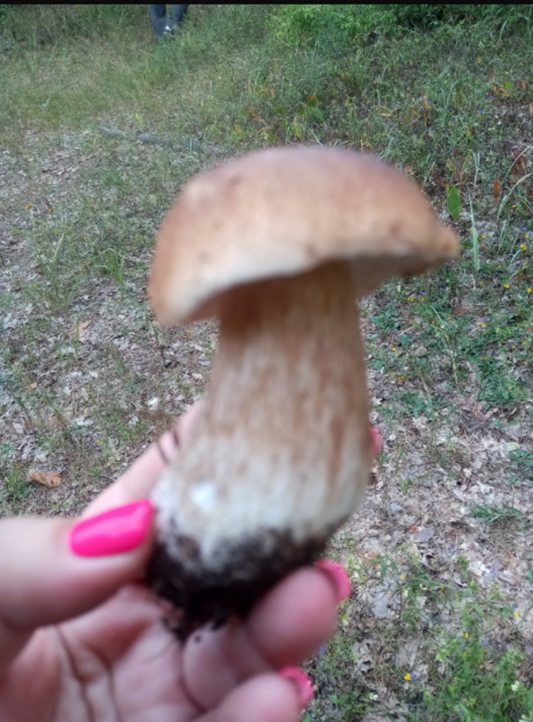 Автор фото Лена Баранова