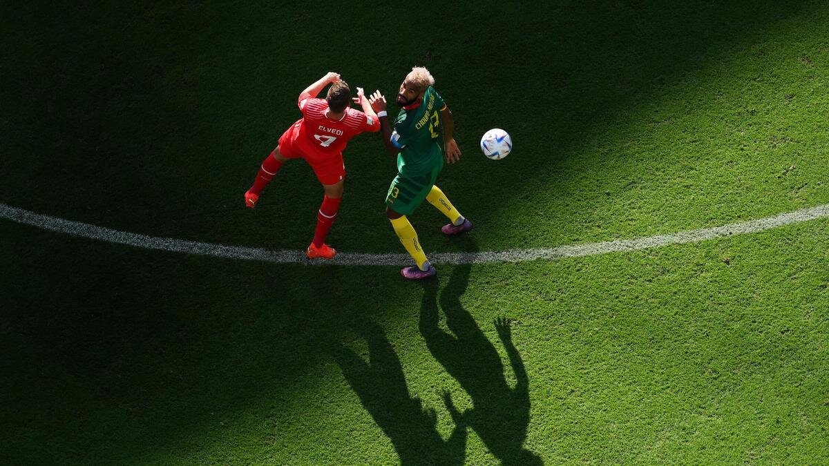    Матч Швейцария - Камерун:Shaun Botterill - FIFA/FIFA via Getty Images