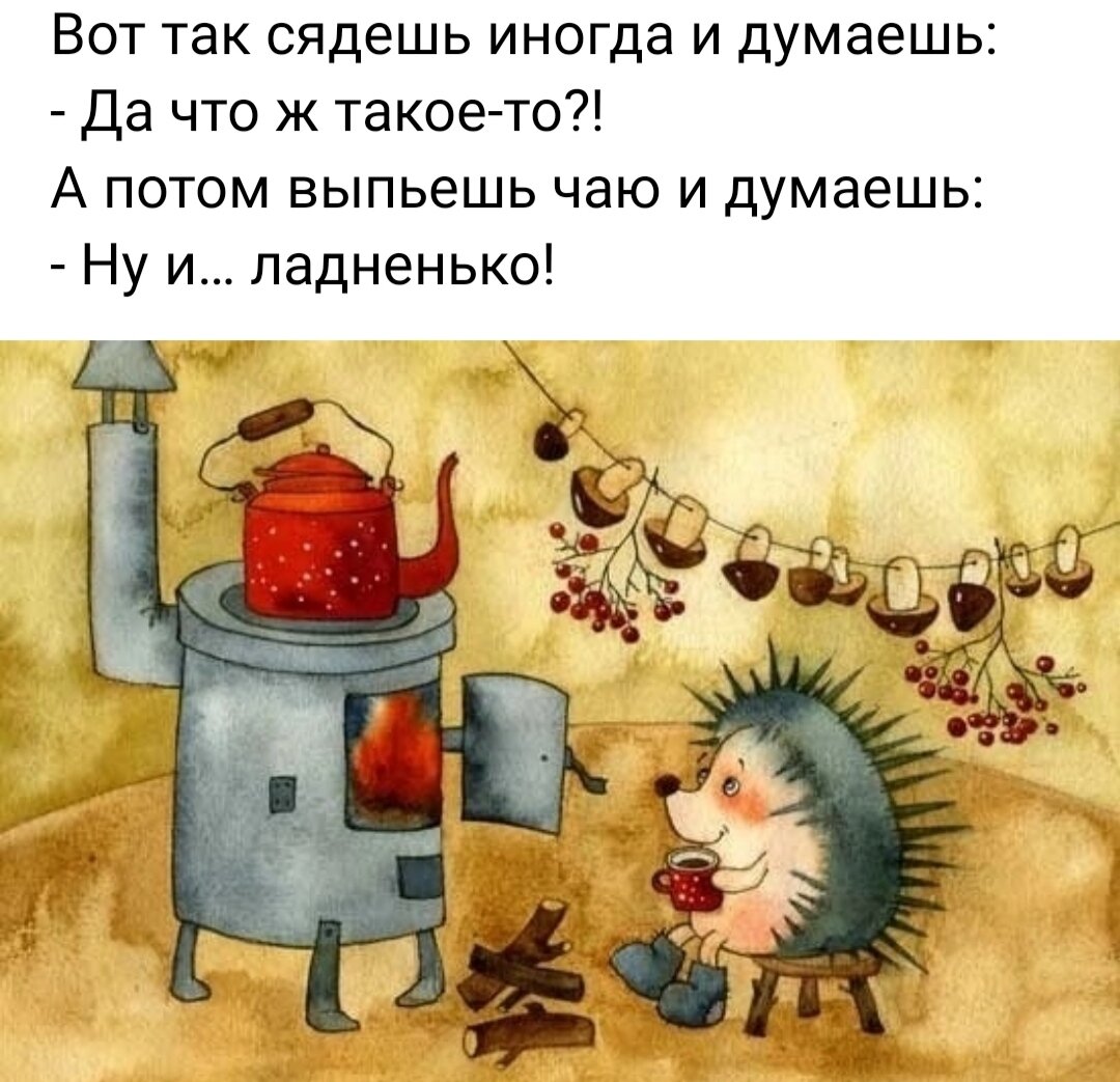 Картинка взята из интернета 