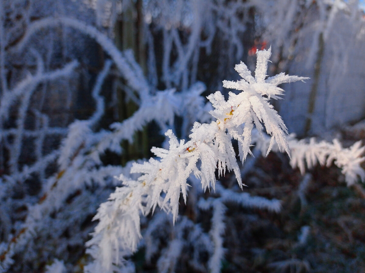 Морозные узоры