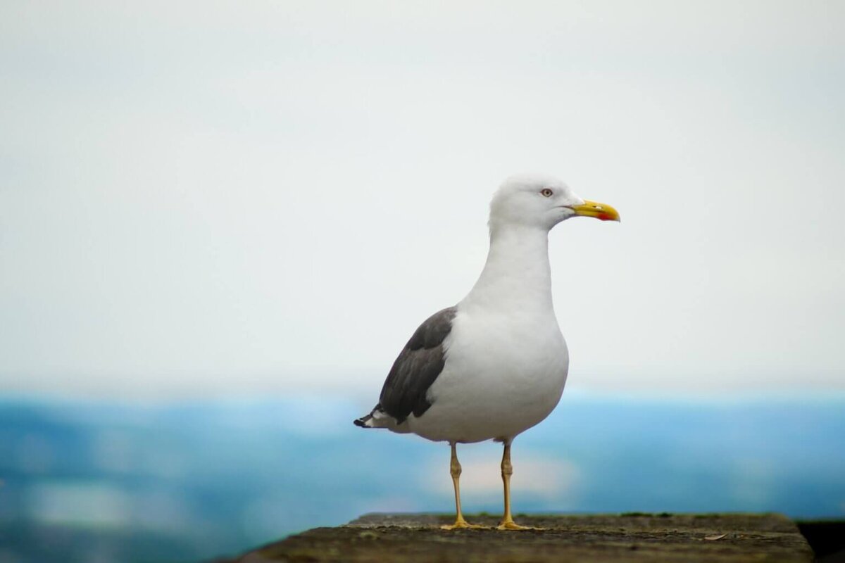    unsplash.com