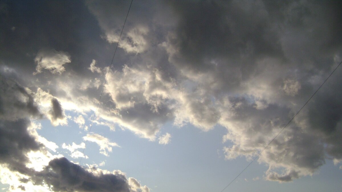     Когда все сидят в сухих чистых офисах, а ты, как проклятый, вынужден идти куда-то под дождём по неотложным делам, да ещё и без зонта, выглядишь ты наверняка несчастным и унылым. Как мокрая кошка.