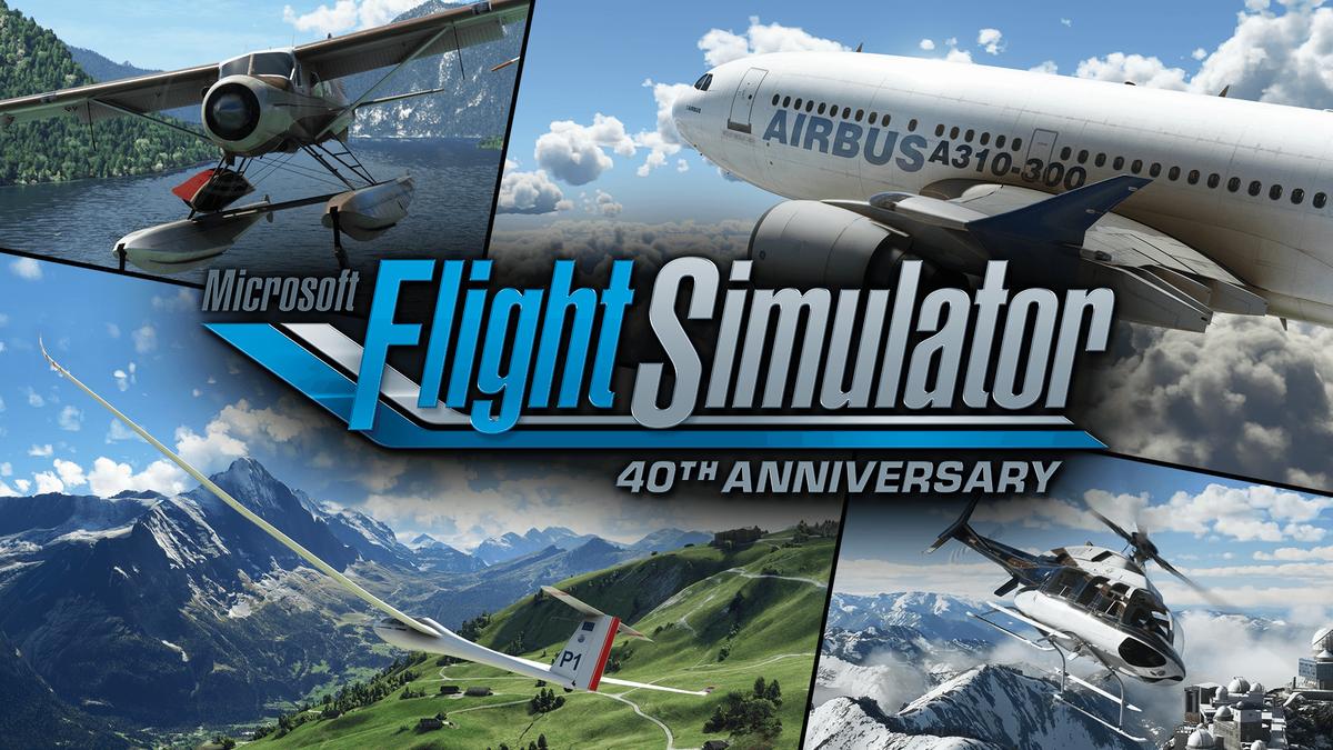 Игра Microsoft Fligth Simulator